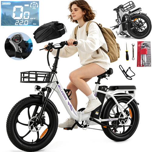 Bicicletta elettrica