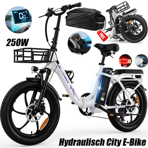 Bicicletta elettrica